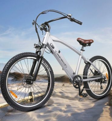 Electric Bicycle